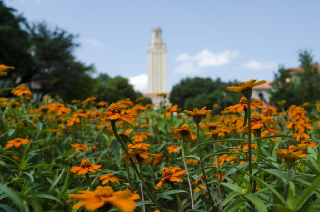 Tower with flowers on University Ave.