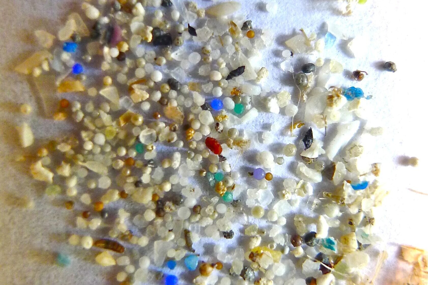 Close-up macro photo of a pile of sand mixed with microplastics on a light gray surface. The mound consists mostly of small tan, beige, and white sand grains and shell fragments, interspersed with brightly colored plastic fragments, fibers, and pellets in blue, green, red, purple, and yellow, along with a few thin fishing-line-like strands.