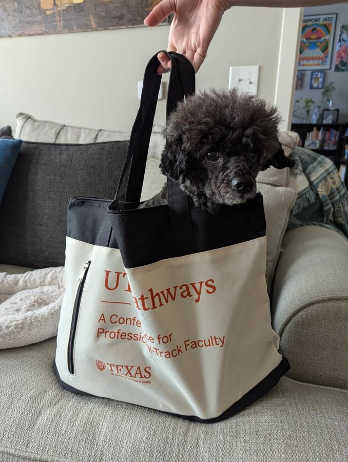 A small dog peeking out of a UT Pathways tote bag